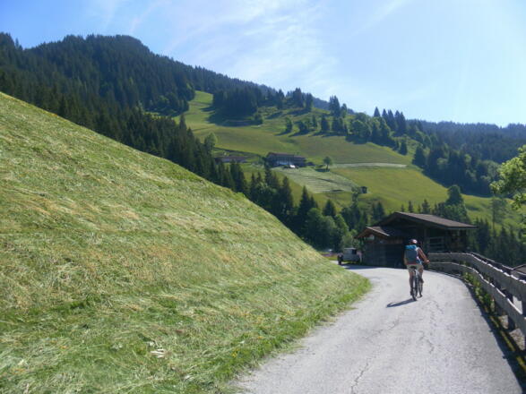 Almen des Sonnbergs