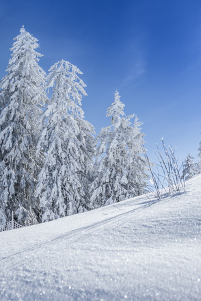 Winterlandschaft