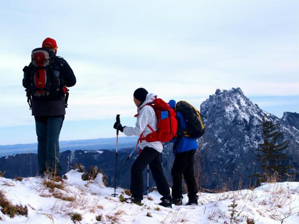 Schlussanstieg zum Fahrnaugupf 1239m