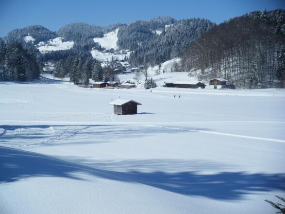 Aussicht auf die Langlaufloipe