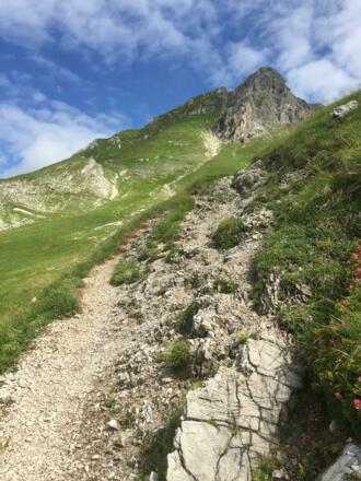 Blick zu der steilen Grasflanke, durch welche die Aufstiegsroute führt, darüber links der Vorgipfel, rechts Hauptgipfel