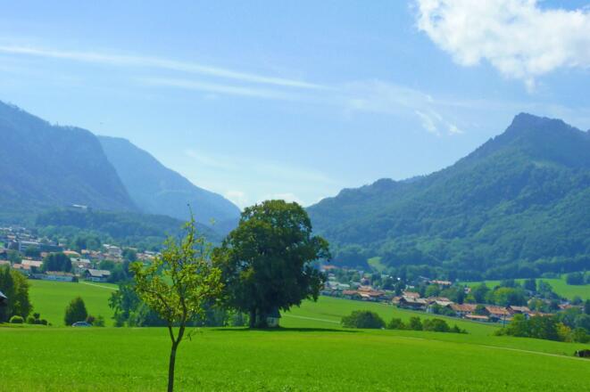 Aussicht vom Haus