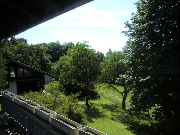Blick vom Haus auf Nebengebäude
