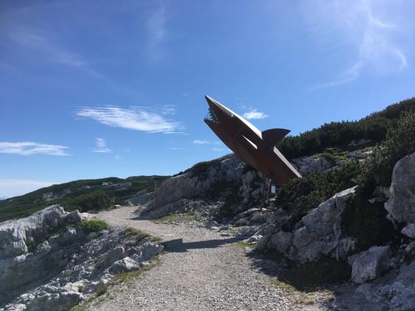 Dachstein-Hai