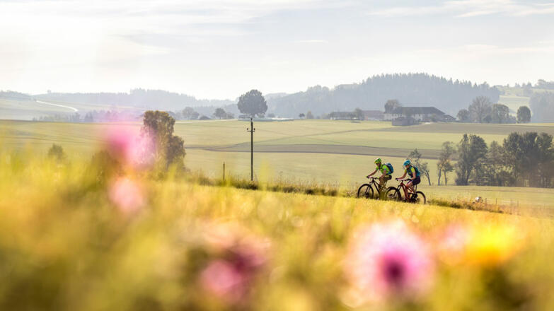 Bike_im-Granitland-M%c3%bchlviertel_Ober%c3%b6sterreich-Tourismus_Moritz-Ablinger_NEU