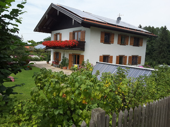 Garten im Sommer