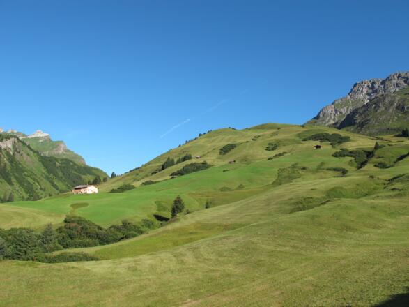 Gepflegte Bergmähder bei Schöneberg
