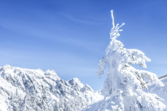 Winter am Hochkönig