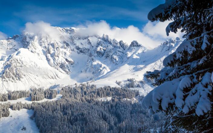 Winterpanorama