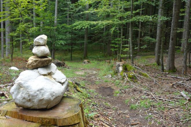 zahlreiche Stoanamandln bis zur Steyrerhütte