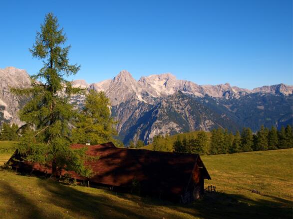 Bärenalm 1.650 m erreicht