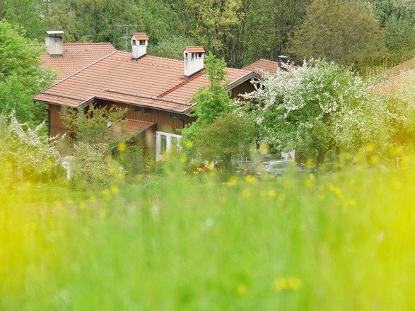 Haus Wiese