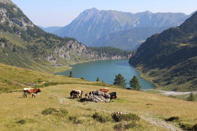 Der Tappenkarsee