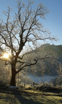 Ausblick rund um den Schoberhof