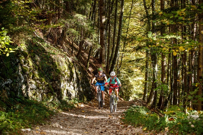 Trail Abschnitt auf der Natur Genuss Runde mit dem E-Bike