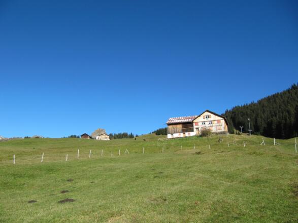 Bauernhöfe auf Uga. Hier ist die für die Vorarlberger Walser typische Streusiedlung noch gut erkennbar.