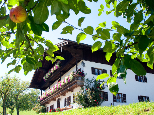 Hausansicht Beim Laberger