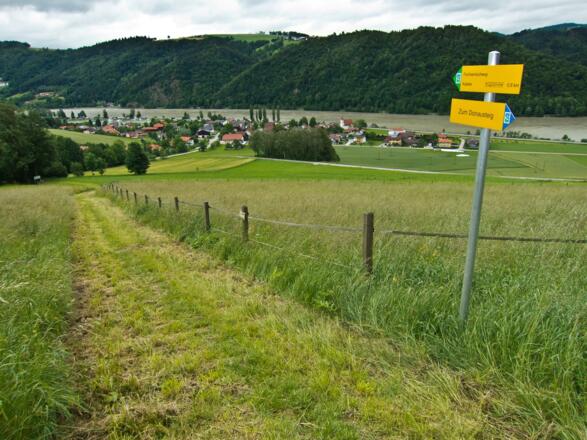 Donausteig - Blick auf Kasten, Gem. Vichtenstein