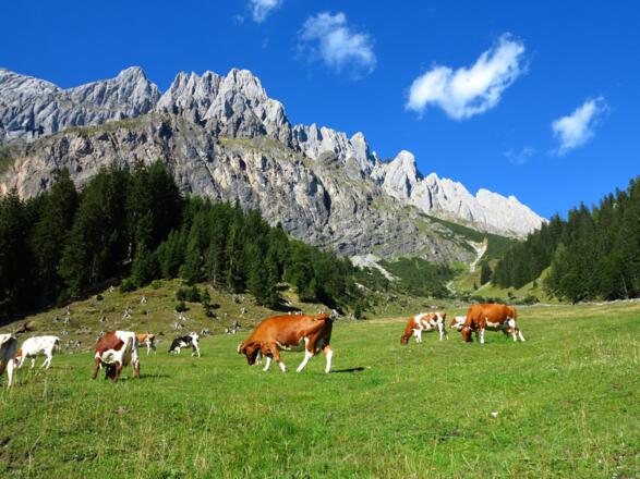 Panorama Mandelwände