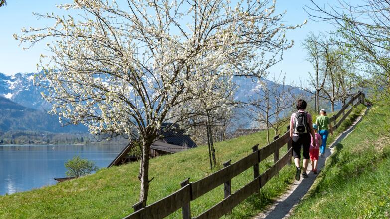 Familienwanderung am Ostuferwanderweg