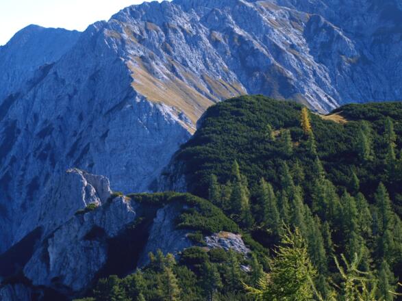 Große Scheibe 1.856m