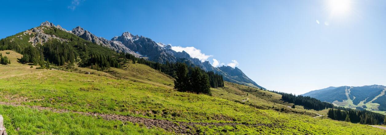 Panoramablick Pichlalm