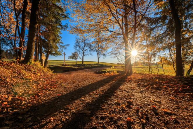 Wanderweg Schlögener Donaublick