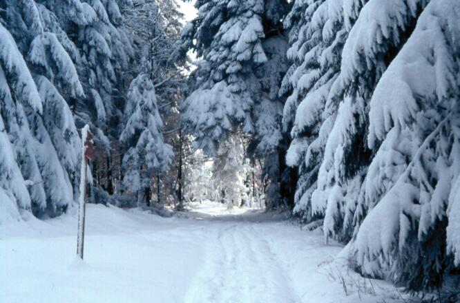 Winterwanderweg