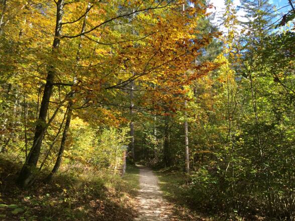 Herbststimmung am Höhenweg