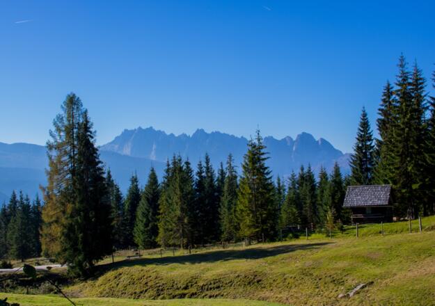Aussicht von der Iglmoosalm in Gosa