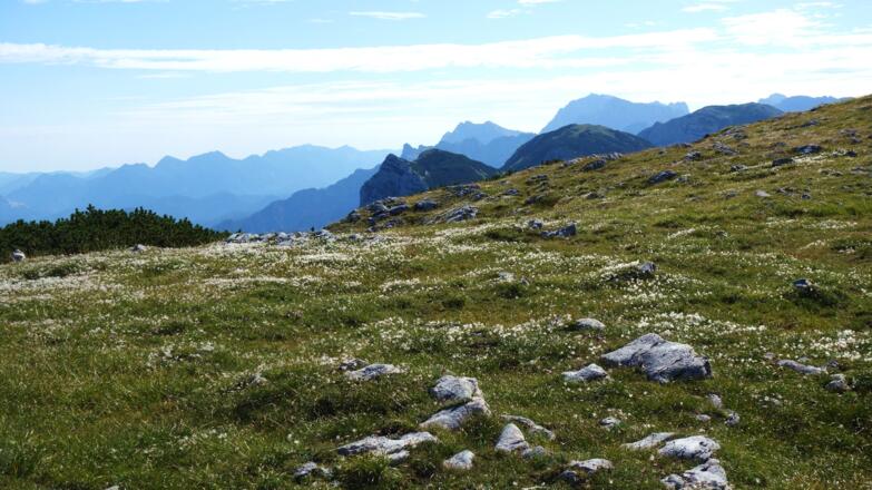 Senke am Plateau 1940m