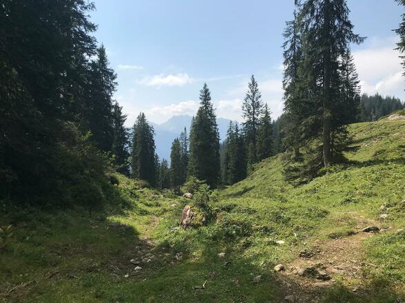 Erster Blick zum Dachstein