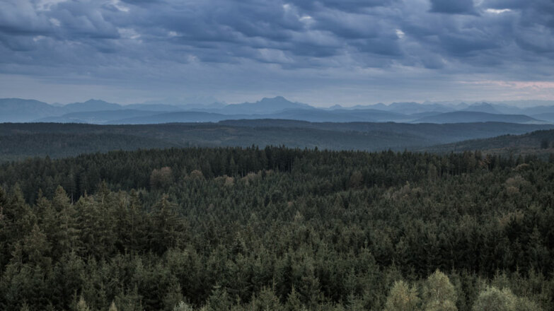 Innviertel_Sommer_Kobernausserwald_Oberoesterreich-Tourismus-GmbH_Robert-Maybach_NEU