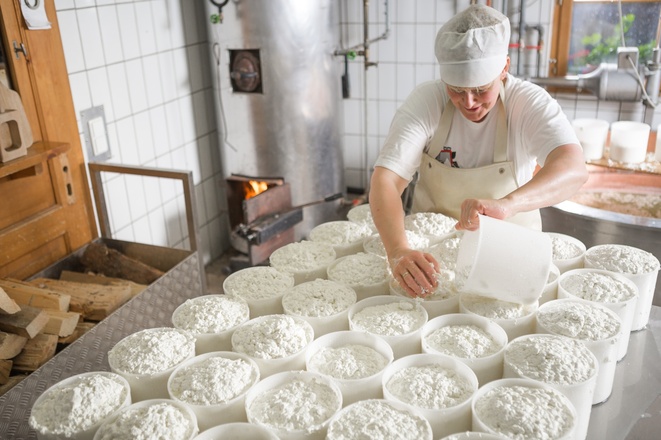 Sura Kees Produktion auf der Alp Nova