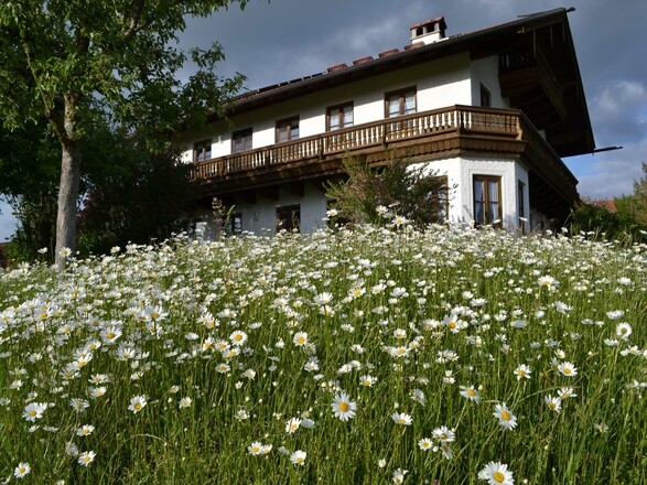 Haus im Frühling