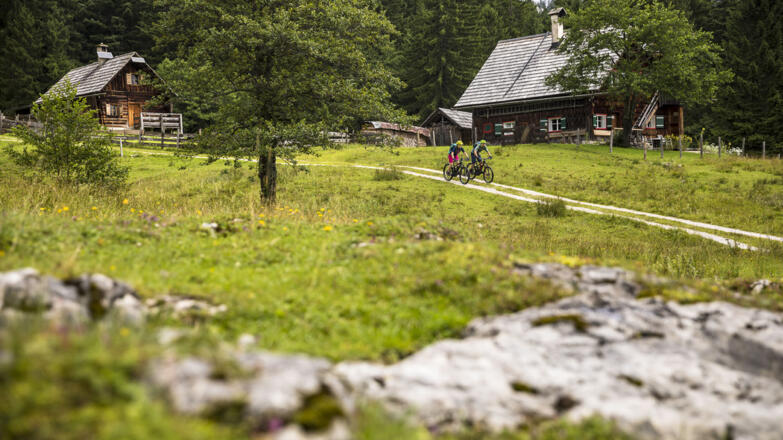 Mountainbiken zwischen Oberösterreich und Steiermark