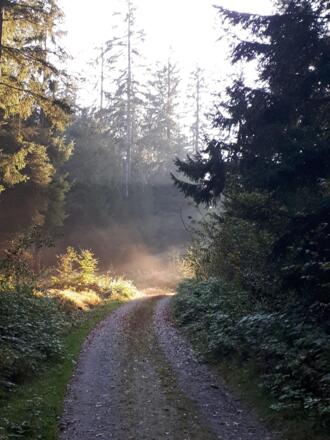 Herbstwandern im Pfarrwald