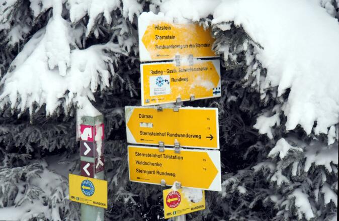 Wegekreuzung Silberhartschlag ~930m