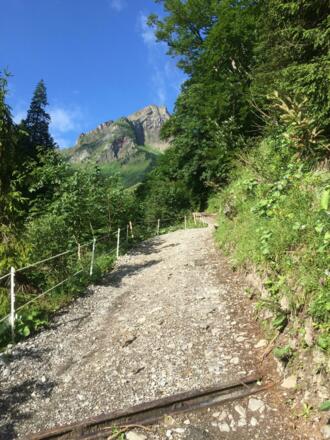 dem Schadonpass entgegen