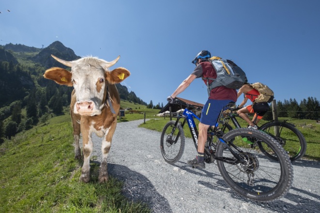 Mountainbiken