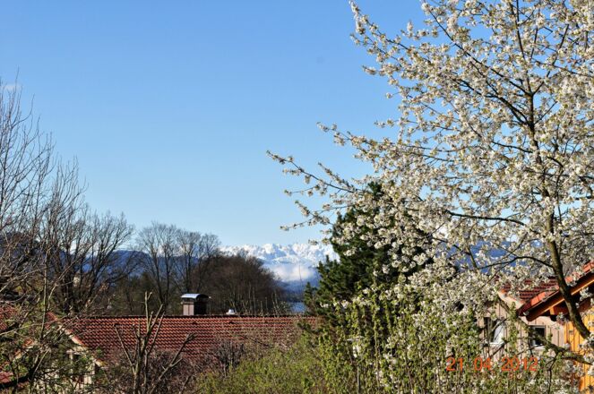 Schöne Landschaft
