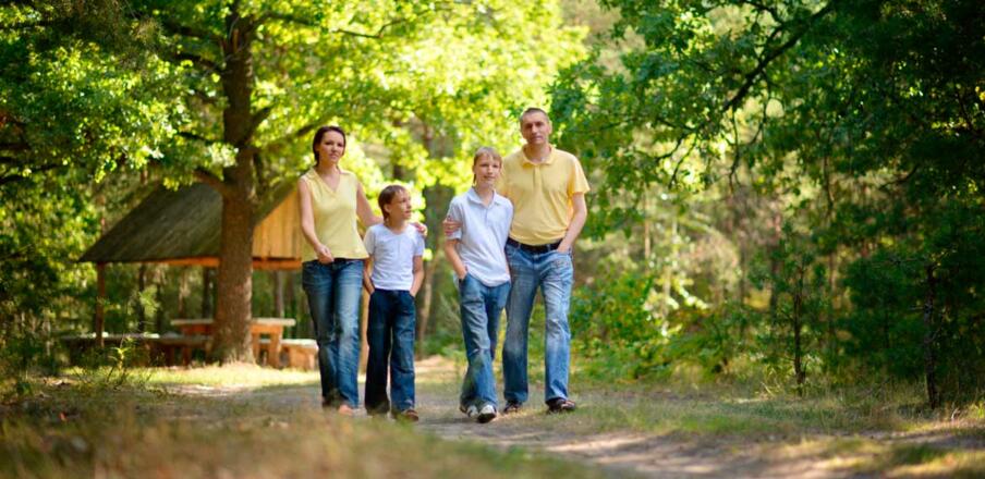 Spatzieren am Aulehrpfad