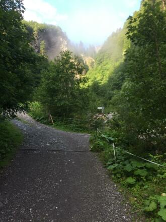 Auf breitem Weg geht es erst durch lichten Wald 
