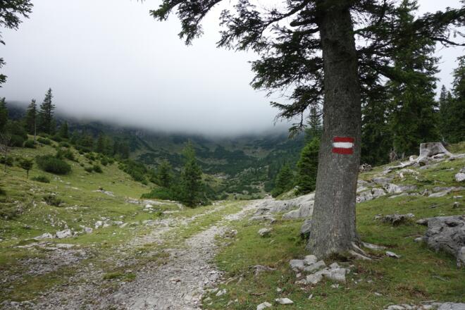 Alm am Fuße des Kasbergs