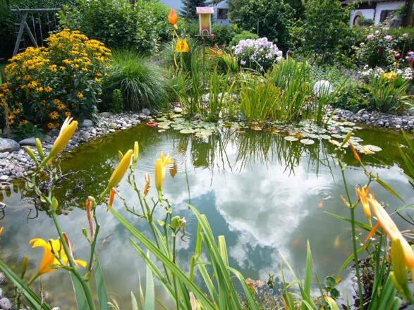 Teich mit Garten