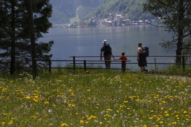 Ostuferwanderweg zwischen Bad Goisern am Hallstättersee und Obertraun