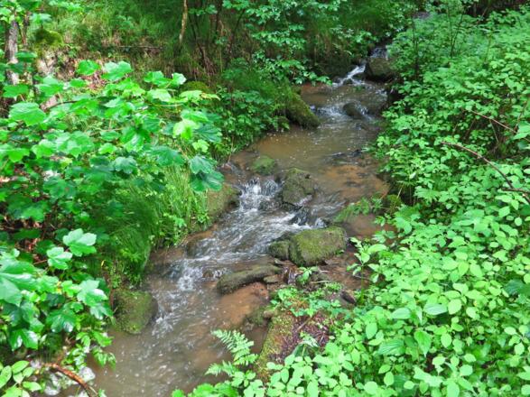Kößlbachtal
