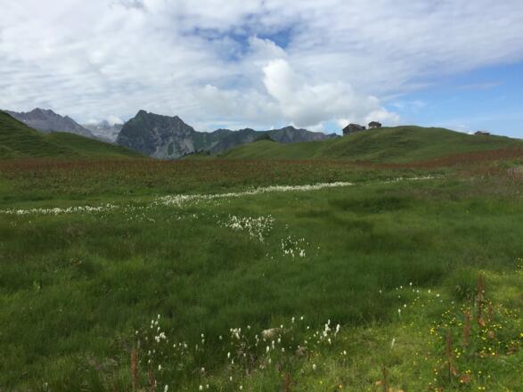 Auf dem breiten Schadonpass, 1840 m mit der Biberacher Hütte