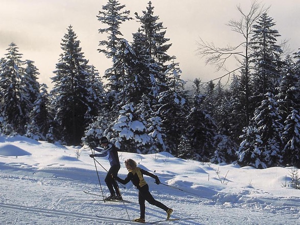 Langlaufen in Bad Goisern am Hallstättersee