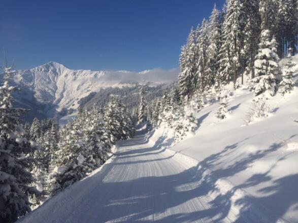 Winterwandern